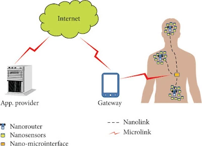 Bibliografía Nanorredes de nanocomunicación inalámbrica