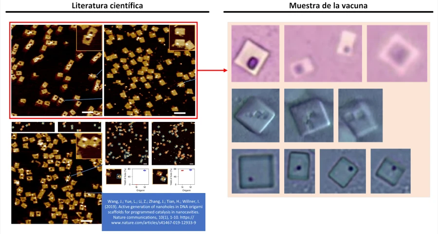 Identificación de patrones en vacunas de Coronavirus: Indicios de autoensamblaje ADN-Origami