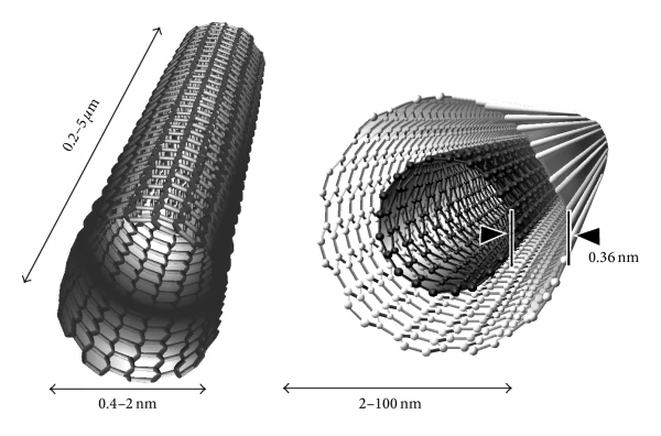 Daños y toxicidad de los nanotubos de carbono-grafeno