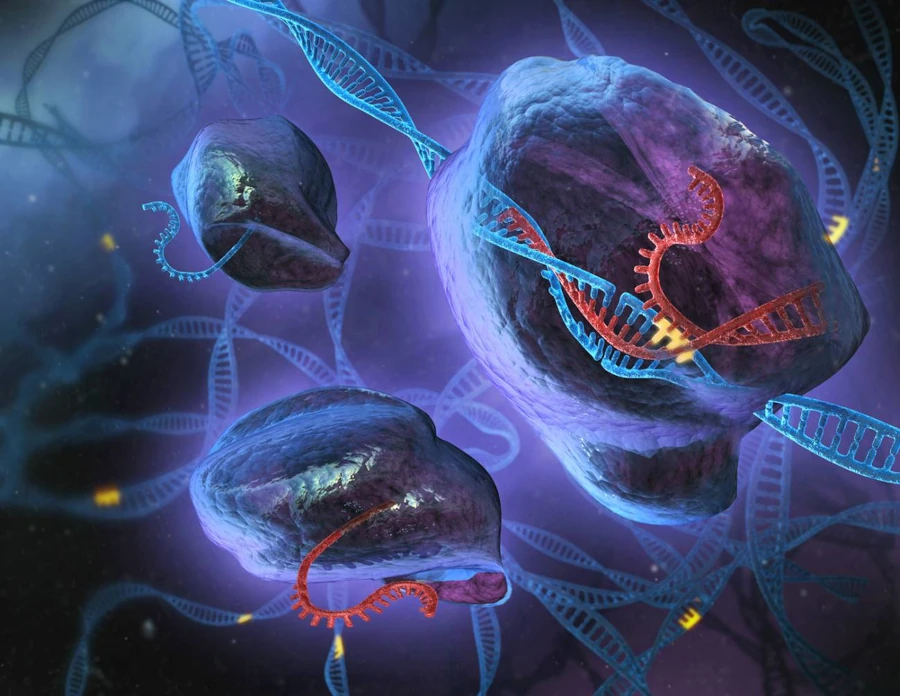 CRISPR y edición genética del ser humano