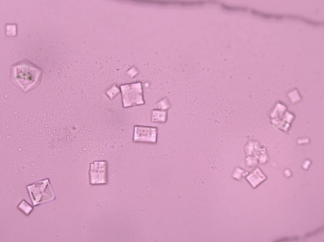 ¿NANOTECNOLOGÍA EN LAS VACUNAS COVID 19?