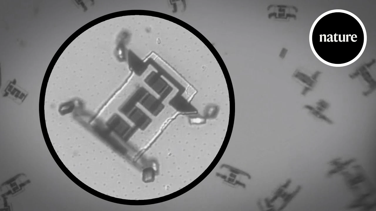 Uso del grafeno en la producción de nanorobots e introducción al cuerpo vía inyectables