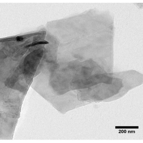 Efectos de las nanopartículas de óxido de grafeno sobre los biomarcadores del sistema inmunológico