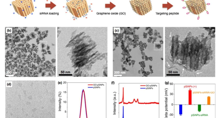 Análisis: Nanopartículas de grafeno orientadas a la entrega de siARN en el cerebro