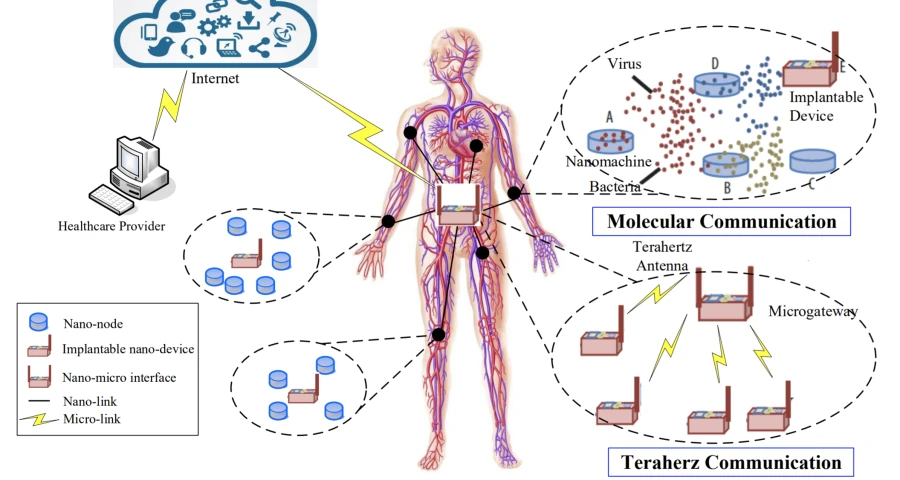 Identificación de patrones en vacunas de c0r0n@v|rus: Nanopulpos y Nanotubos de Carbono-Grafeno
