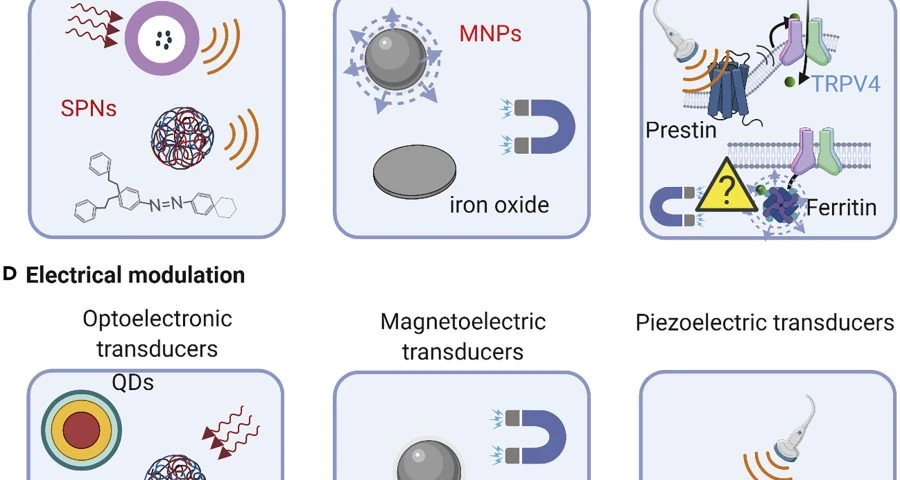 Análisis: El óxido de grafeno y la estimulación cerebral por ondas electromagnéticas EM capaces de inferir en la mente humana